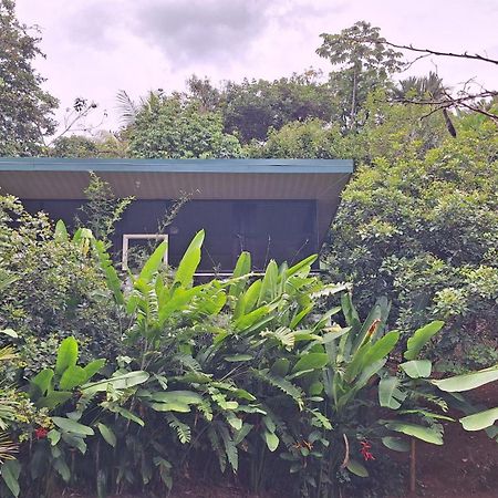 Cabinas Fave Uvita Bagian luar foto