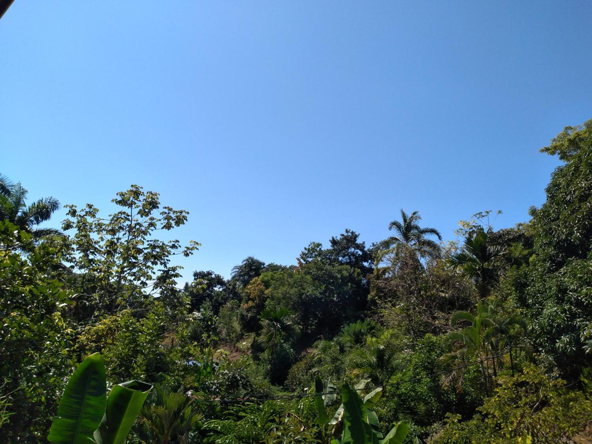 Cabinas Fave Uvita Bagian luar foto