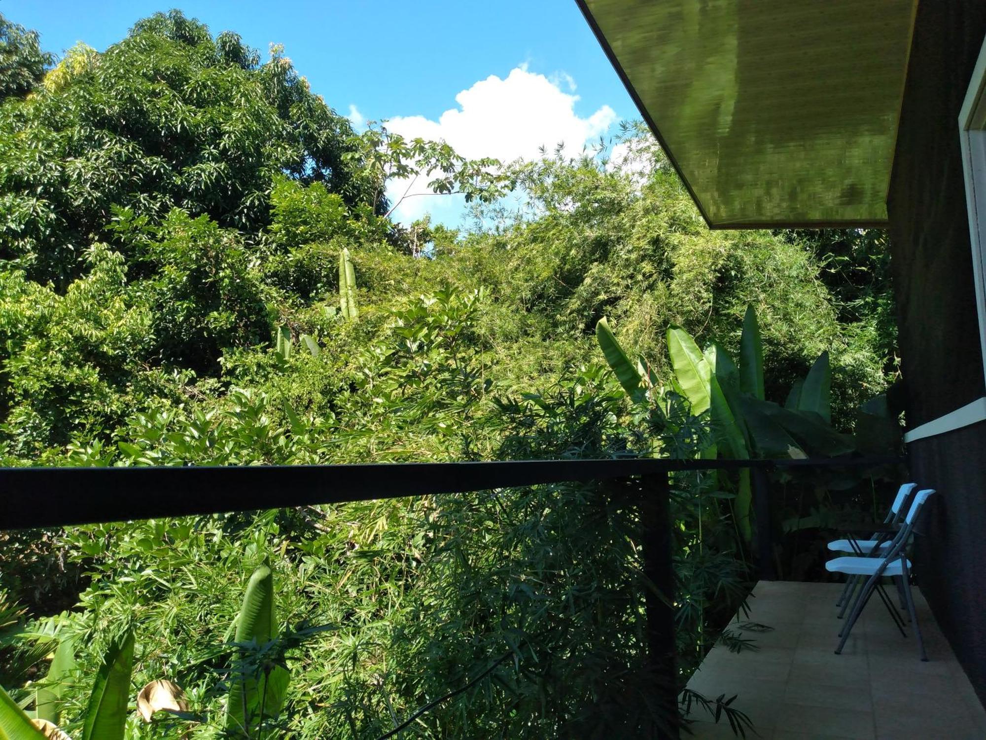 Cabinas Fave Uvita Bagian luar foto