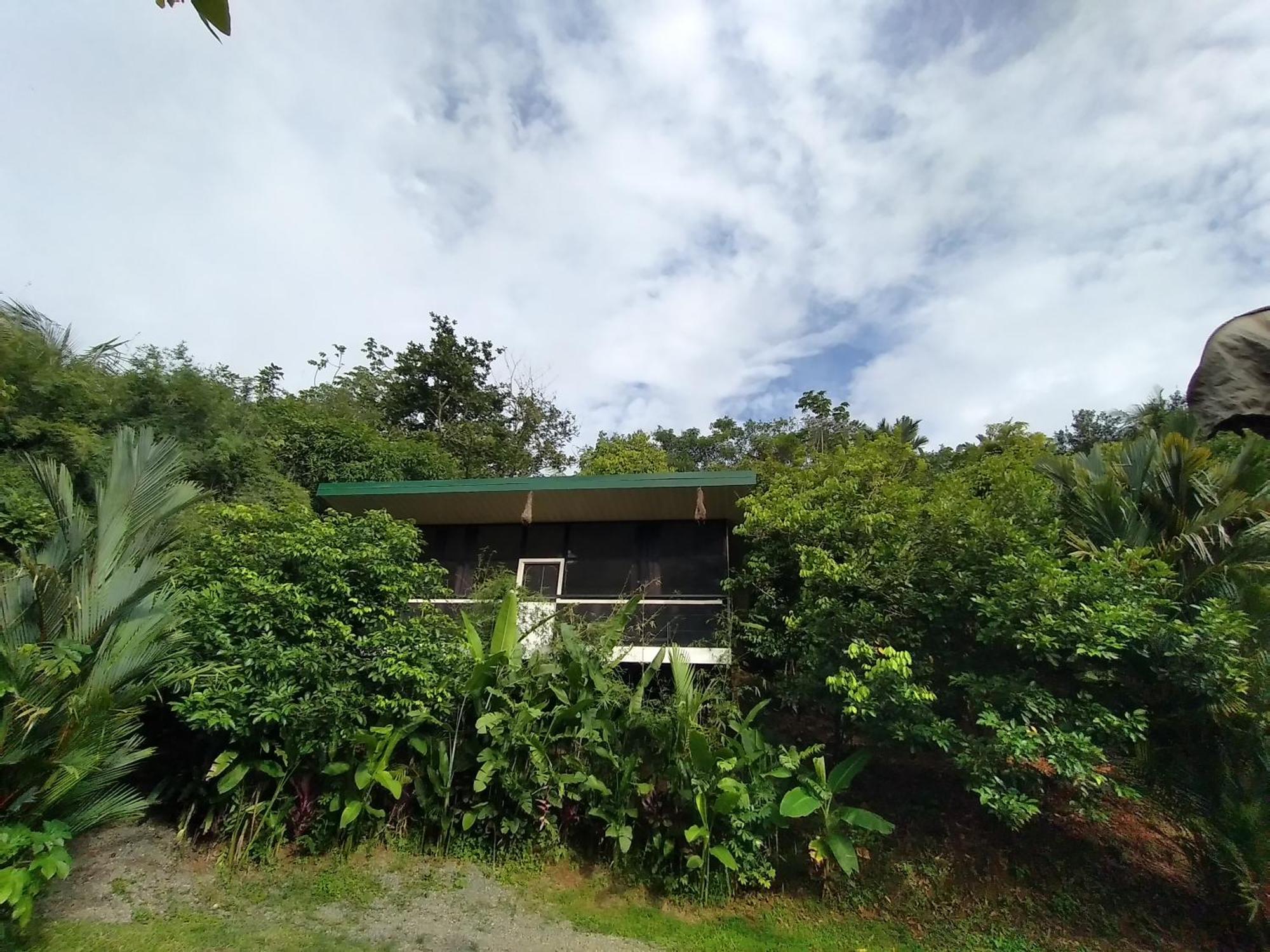 Cabinas Fave Uvita Bagian luar foto