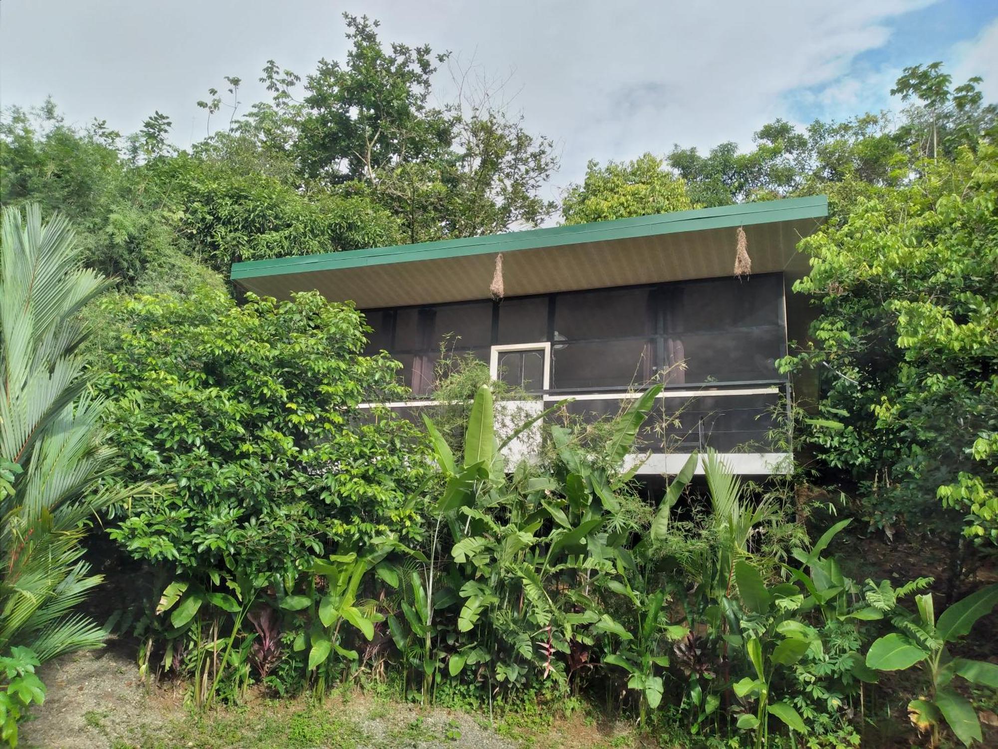 Cabinas Fave Uvita Bagian luar foto