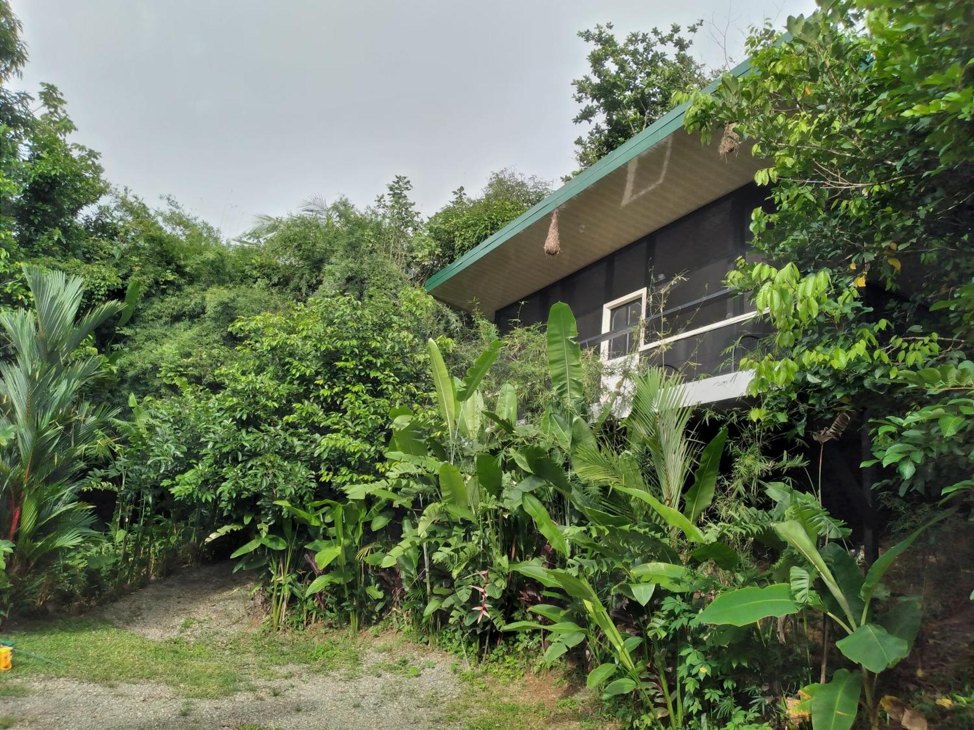 Cabinas Fave Uvita Bagian luar foto