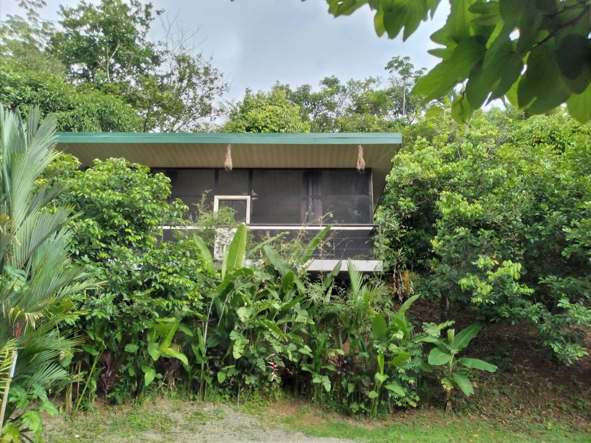 Cabinas Fave Uvita Bagian luar foto