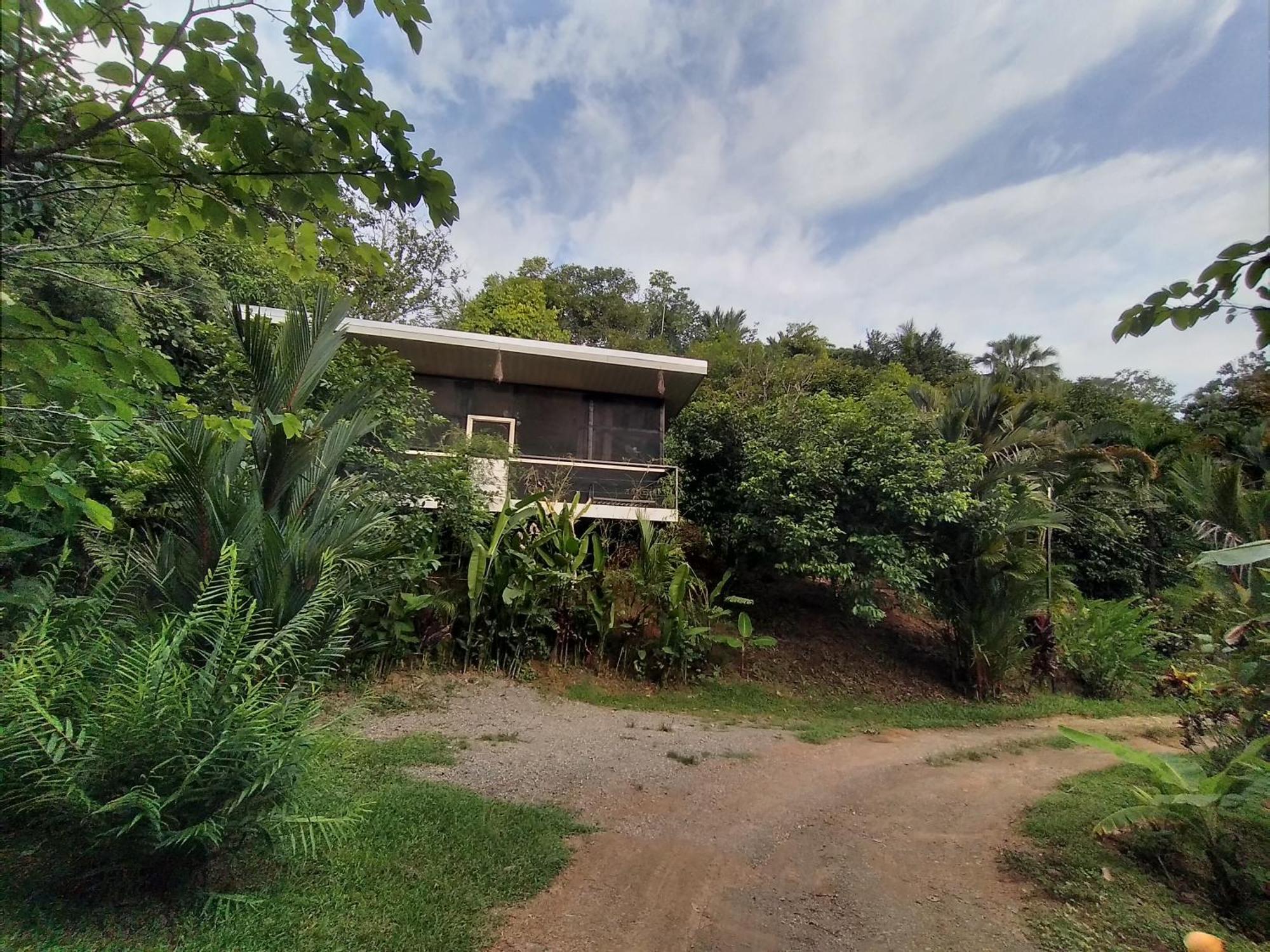 Cabinas Fave Uvita Ruang foto
