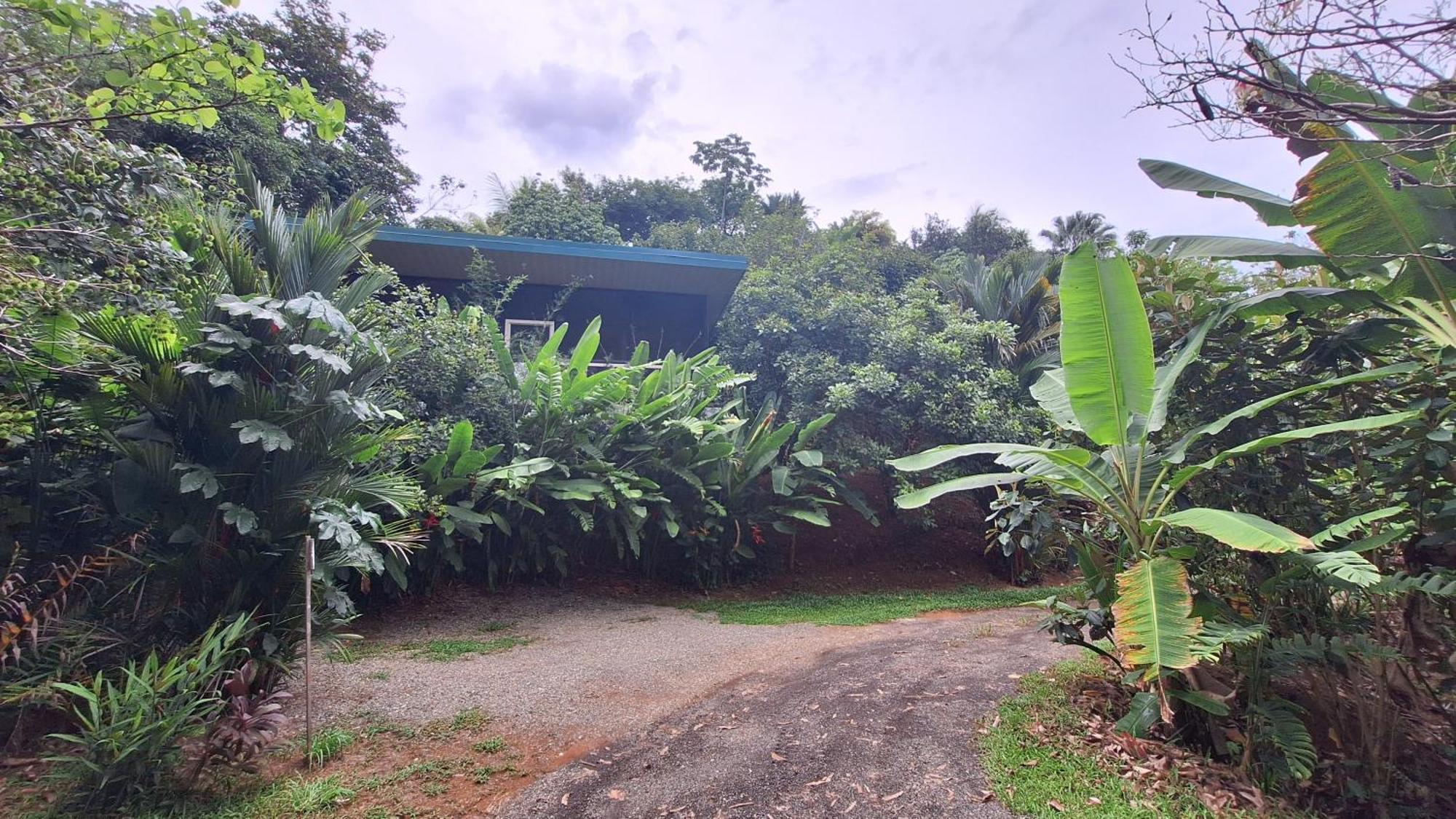 Cabinas Fave Uvita Bagian luar foto