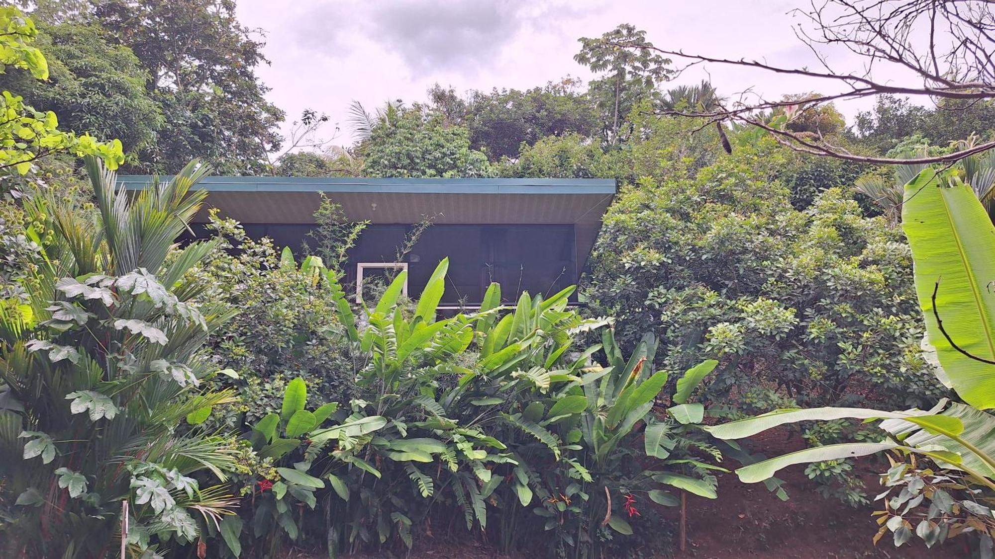 Cabinas Fave Uvita Bagian luar foto
